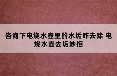 咨询下电烧水壶里的水垢咋去除 电烧水壶去垢妙招